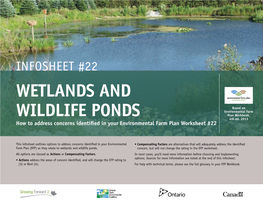Wetlands and Wildlife Ponds