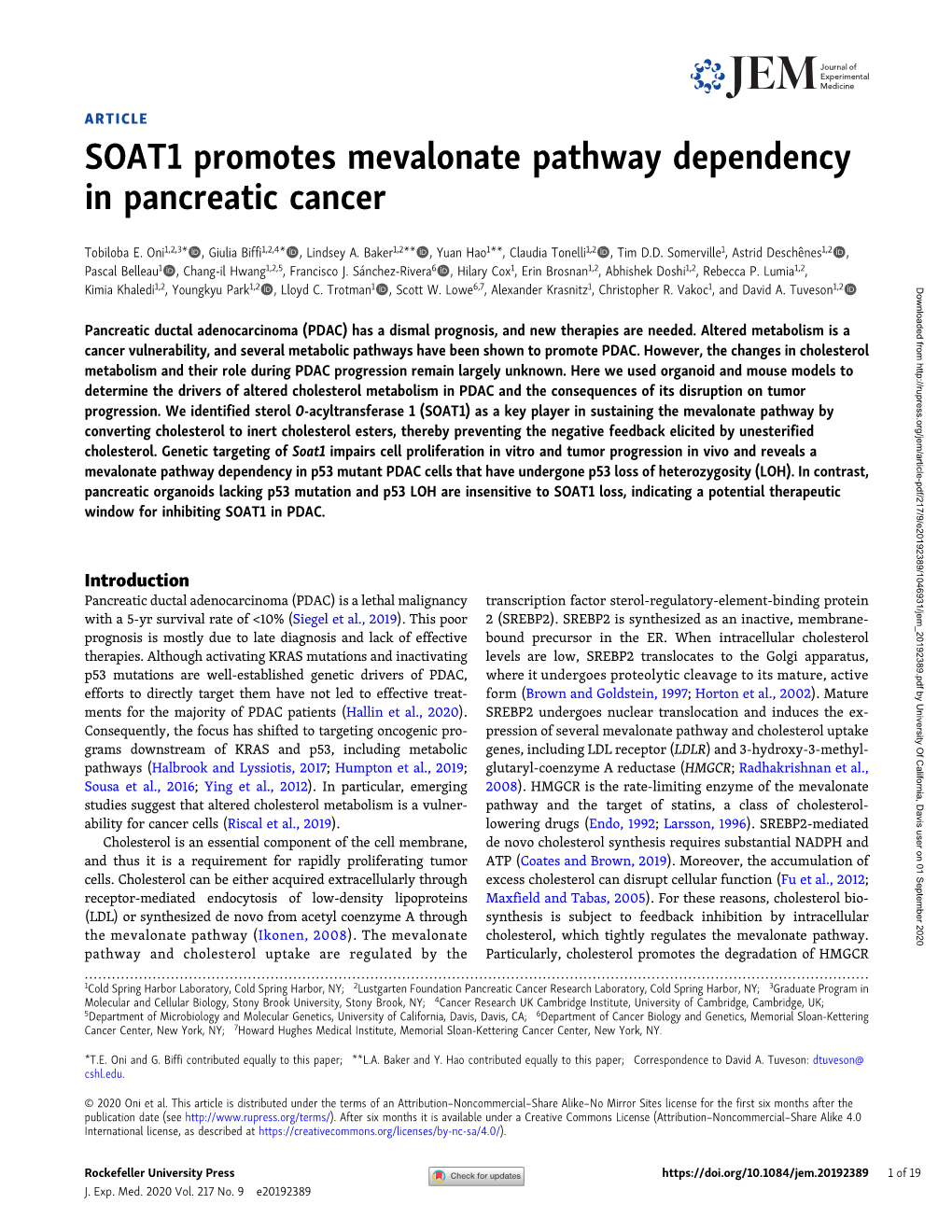 SOAT1 Promotes Mevalonate Pathway Dependency in Pancreatic Cancer