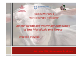 Animal Health and Veterinary Authorities of East Macedonia and Thrace of East Macedonia and Thrace Evagelia Plevraki