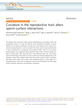 Curvature in the Reproductive Tract Alters Spermâ