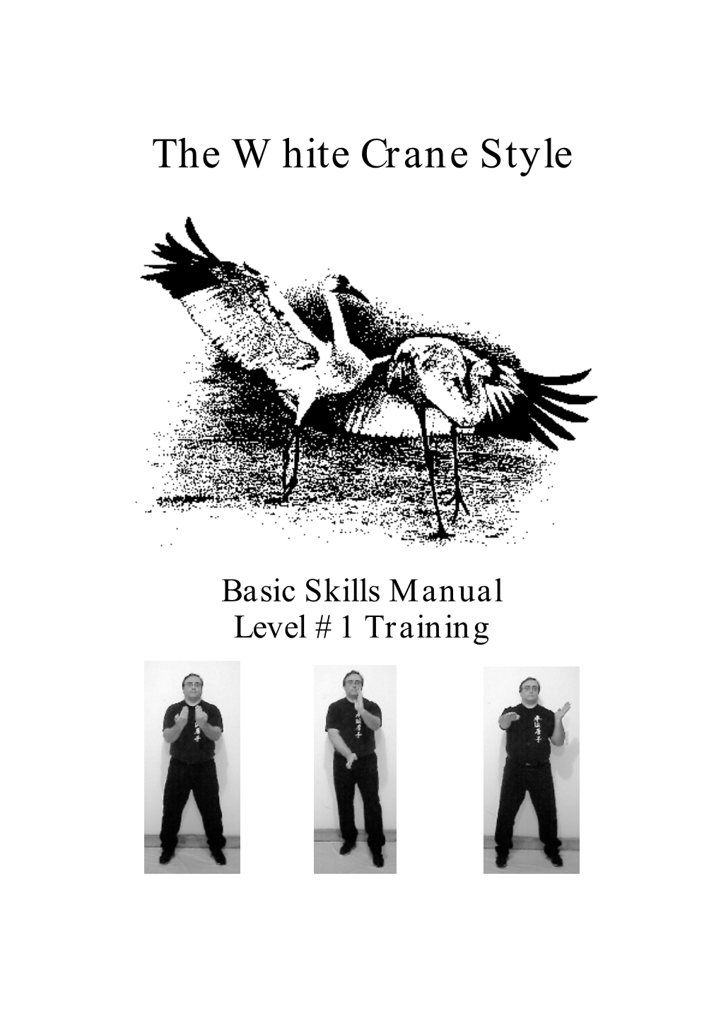 The White Crane Style Level 1 Training