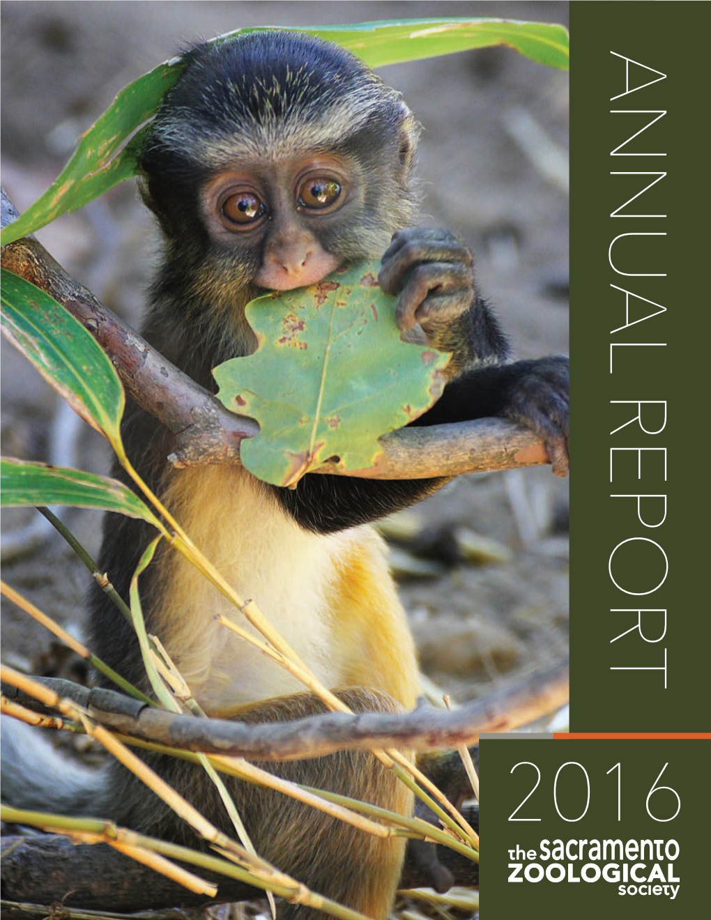 2016 Annual Report