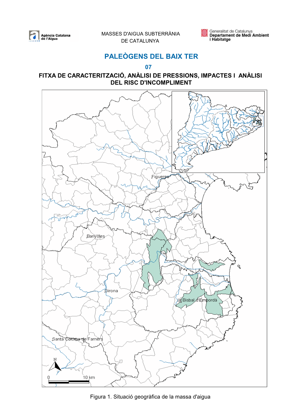 Paleògens Del Baix Ter 07 Fitxa De Caracterització, Anàlisi De Pressions, Impactes I Anàlisi Del Risc D'incompliment