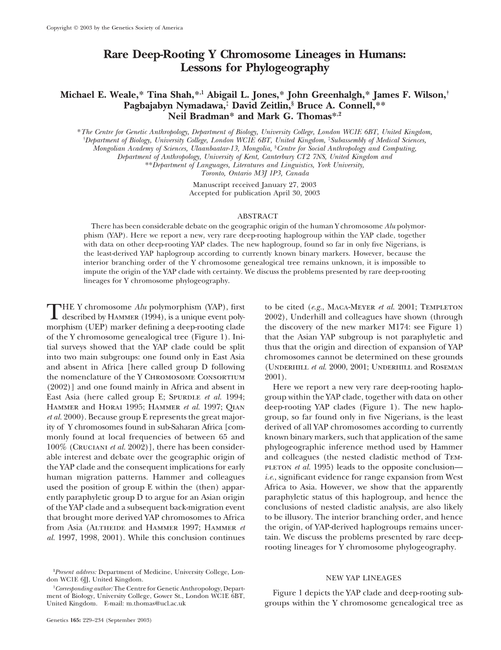 Rare Deep-Rooting Y Chromosome Lineages in Humans: Lessons for Phylogeography