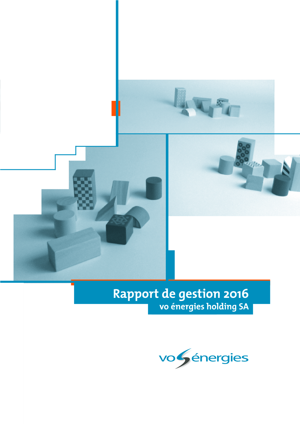 Rapport De Gestion Voénergies 2016