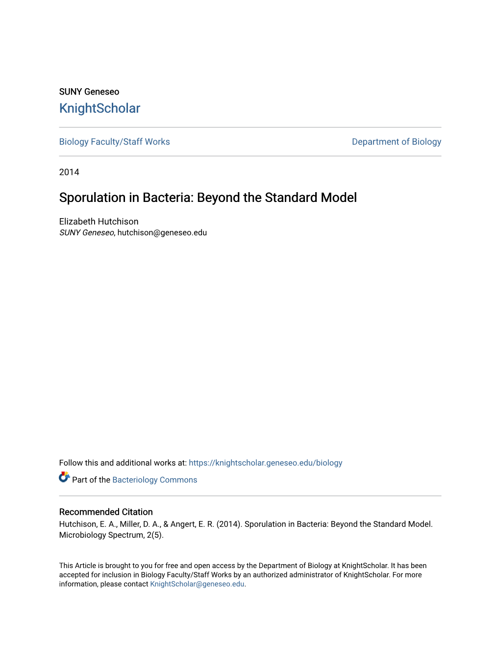 Sporulation in Bacteria: Beyond the Standard Model