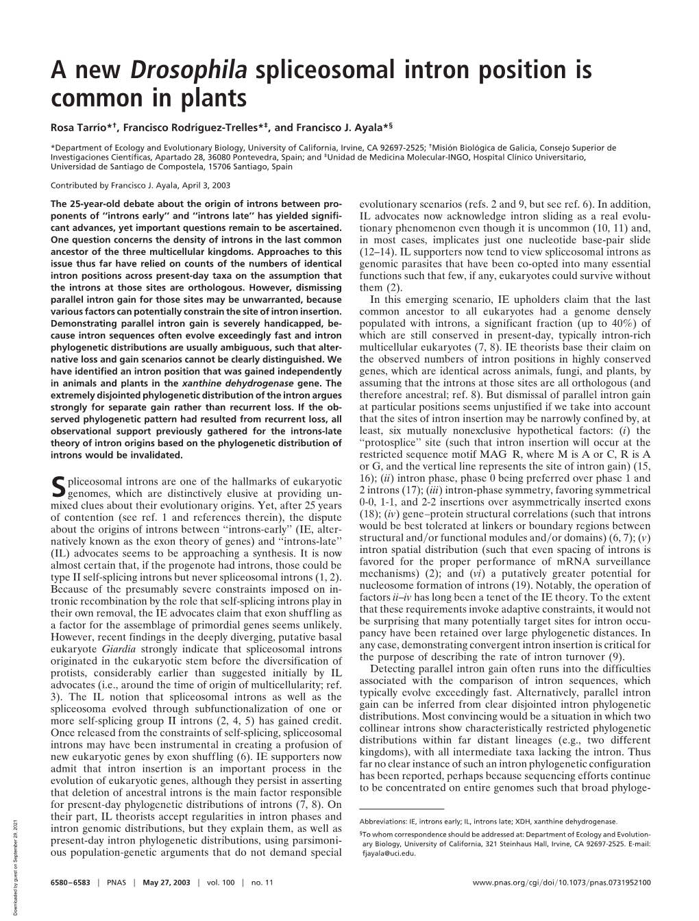 A New Drosophila Spliceosomal Intron Position Is Common in Plants