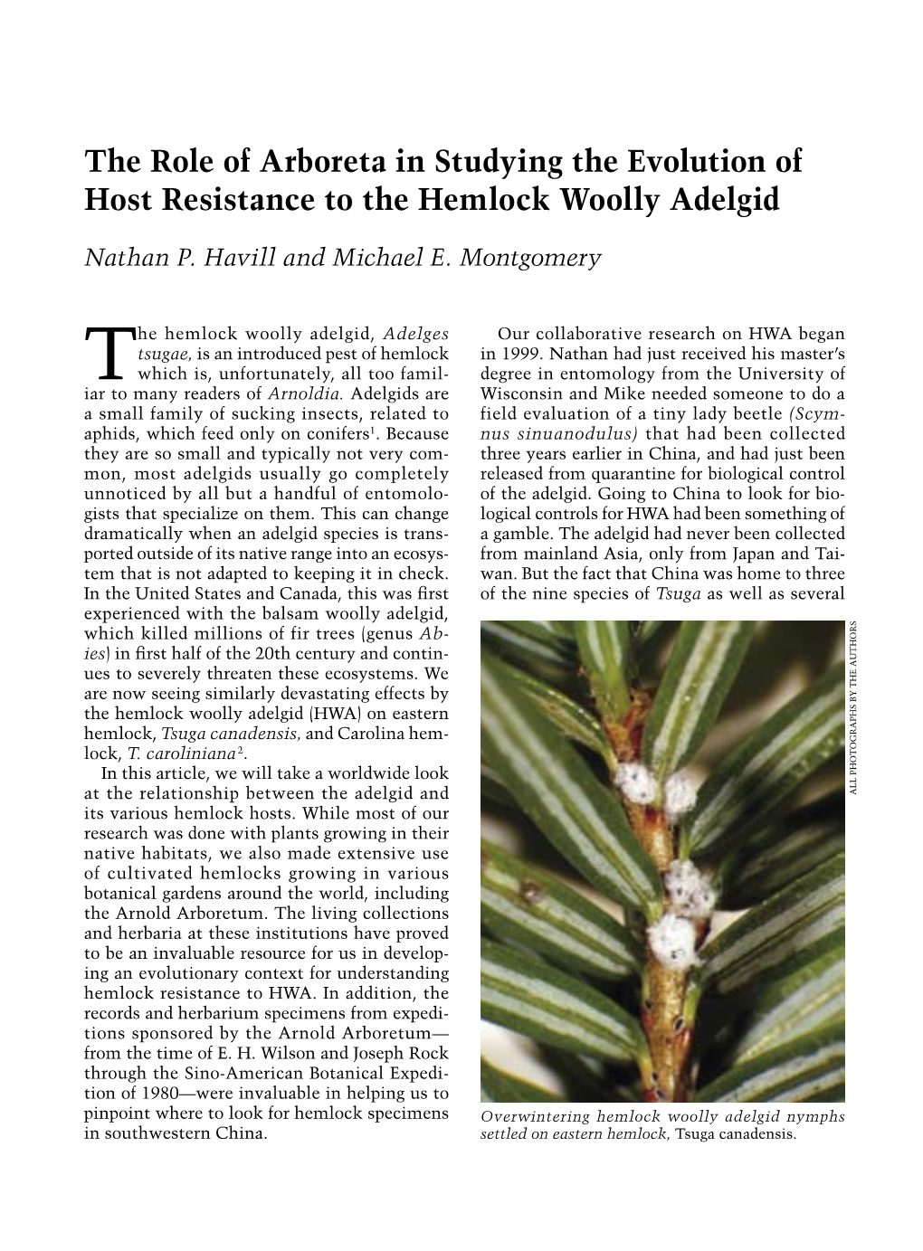 The Role of Arboreta in Studying the Evolution of Host Resistance to the Hemlock Woolly Adelgid