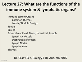 What Are the Functions of the Immune System & Lymphatic Organs?