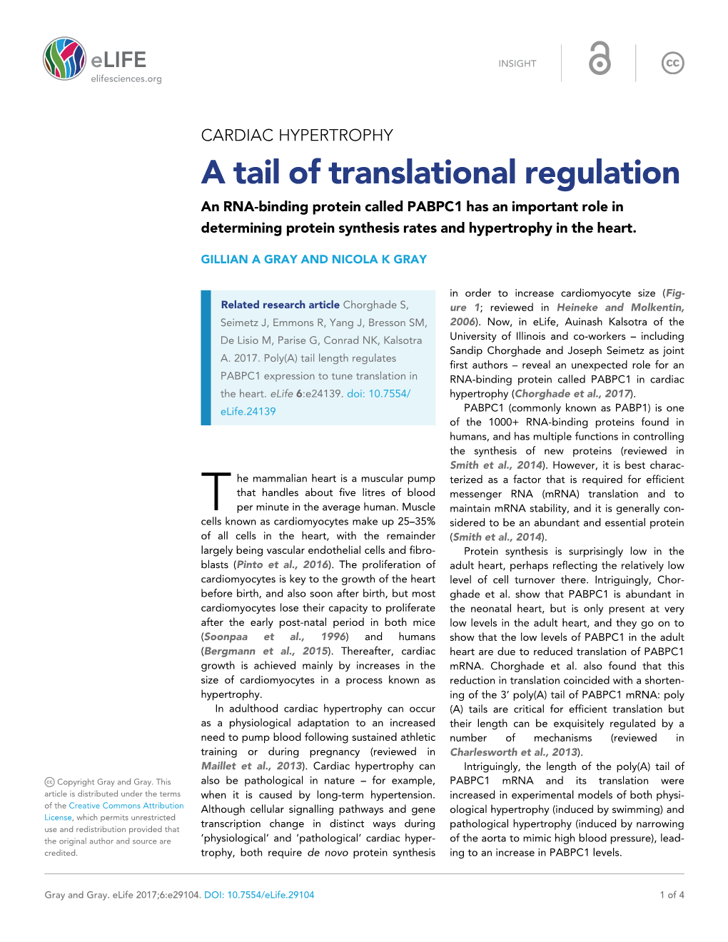 A Tail of Translational Regulation an RNA-Binding Protein Called PABPC1 Has an Important Role in Determining Protein Synthesis Rates and Hypertrophy in the Heart