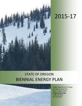 2015-17 Biennial Energy Plan