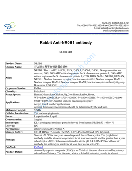 Rabbit Anti-NR0B1 Antibody-SL10434R