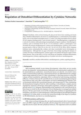 Regulation of Osteoblast Differentiation by Cytokine Networks
