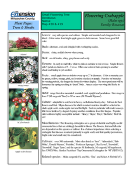 Flowering Crabapple Native (Malus Spp.) Plant Pages: Map #20 & #19 Family: Rosaceae Trees & Shrubs