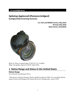 Spiketop Applesnail (Pomacea Bridgesi) Ecological Risk Screening Summary