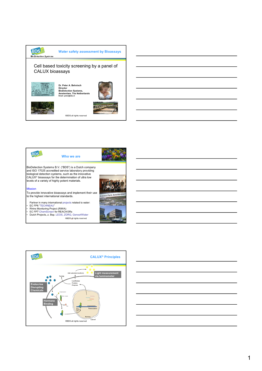 BDS: CALUX Bioassays