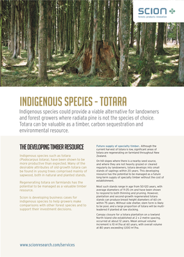 INDIGENOUS SPECIES - TOTARA Indigenous Species Could Provide a Viable Alternative for Landowners and Forest Growers Where Radiata Pine Is Not the Species of Choice