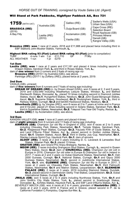HORSE out of TRAINING, Consigned by Voute Sales Ltd