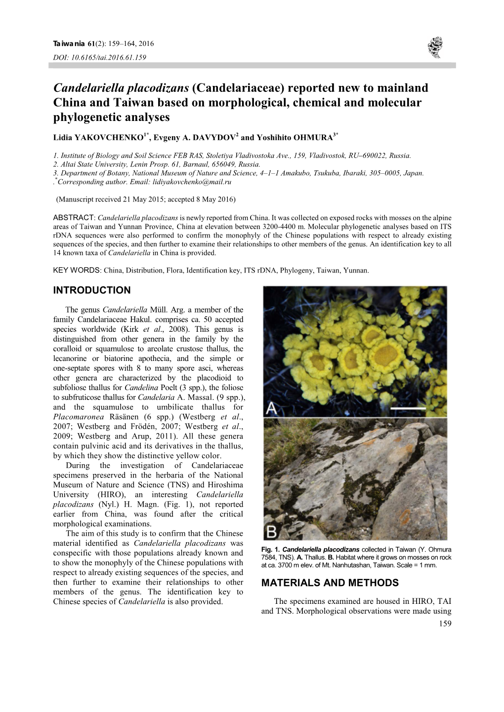 Candelariella Placodizans (Candelariaceae) Reported New to Mainland China and Taiwan Based on Morphological, Chemical and Molecular Phylogenetic Analyses