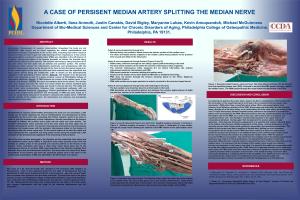 A Case of Persistent Median Artery Splitting