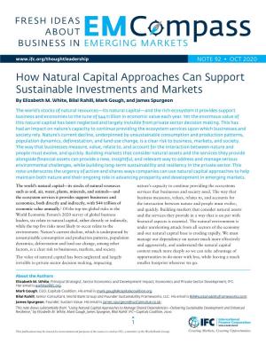 How Natural Capital Approaches Can Support Sustainable Investments and Markets by Elizabeth M