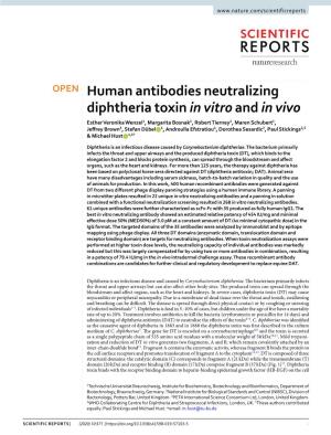 Human Antibodies Neutralizing Diphtheria Toxin in Vitro and in Vivo