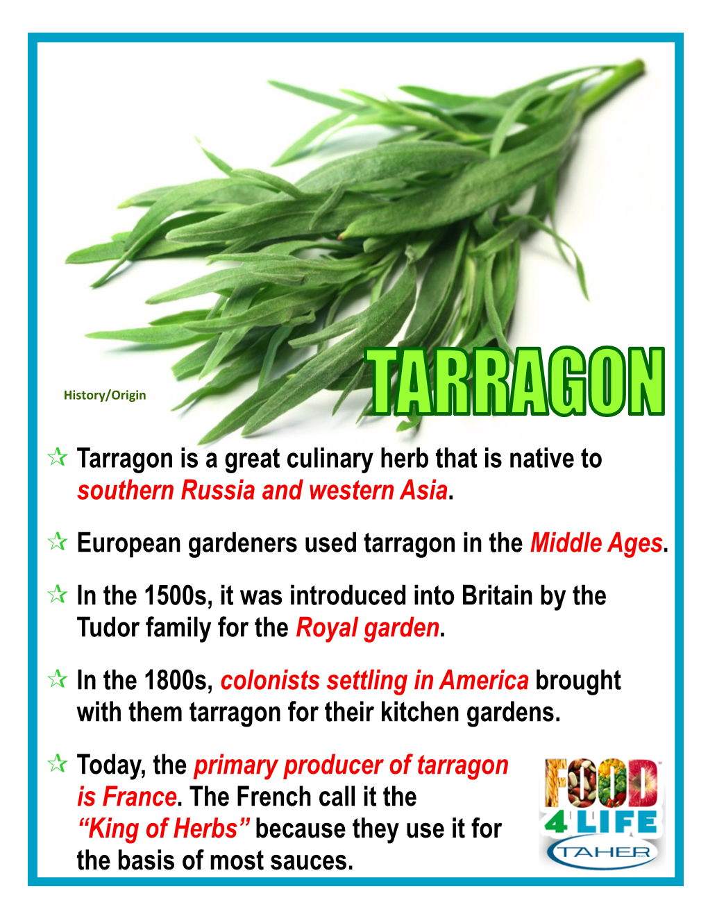 Tarragon Is a Great Culinary Herb That Is Native to Southern Russia and Western Asia