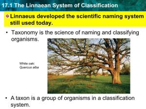 17.1 the Linnaean System of Classification Linnaeus Developed the Scientific Naming System Still Used Today