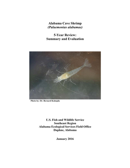 Alabama Cave Shrimp (Palaemonias Alabamae) 5-Year Review: Summary and Evaluation