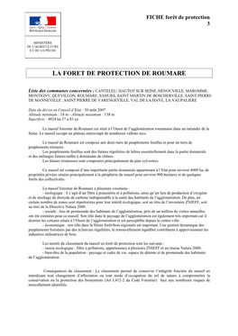 La Foret De Protection De Roumare