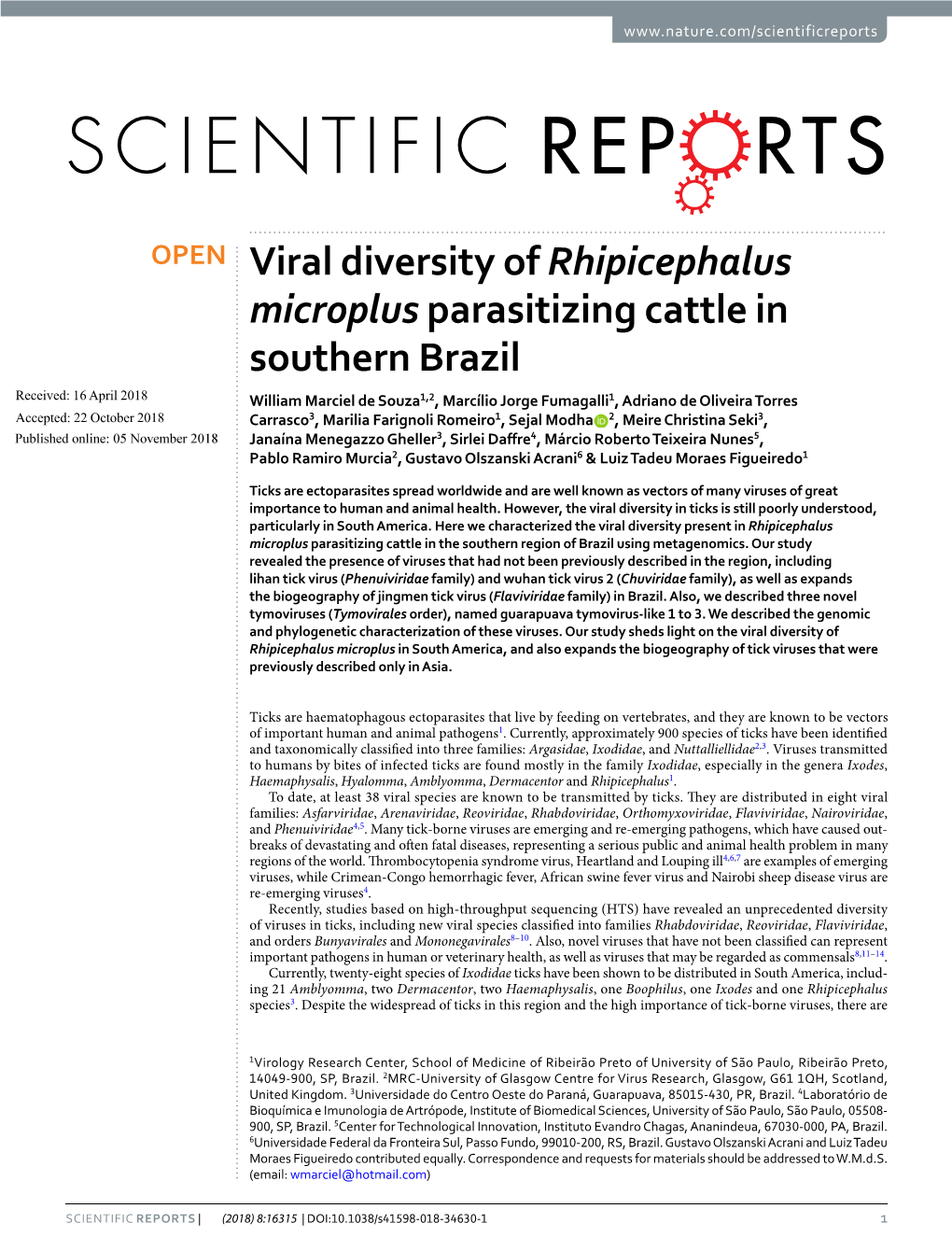 Viral Diversity of Rhipicephalus Microplus Parasitizing Cattle in Southern Brazil