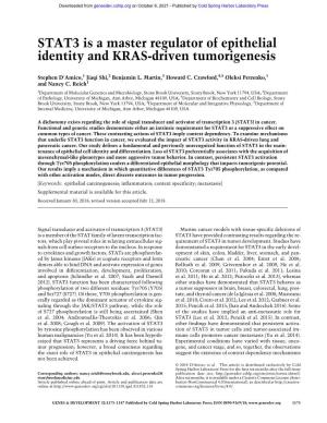 STAT3 Is a Master Regulator of Epithelial Identity and KRAS-Driven Tumorigenesis