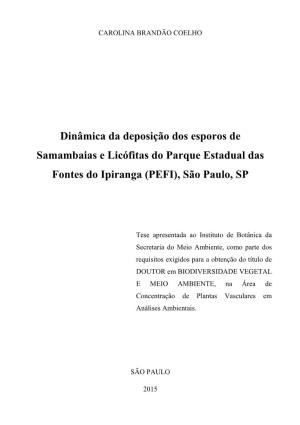 Dinâmica Da Deposição Dos Esporos De Samambaias E Licófitas Do Parque Estadual Das Fontes Do Ipiranga (PEFI), São Paulo, SP