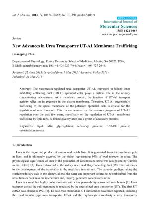 New Advances in Urea Transporter UT-A1 Membrane Trafficking
