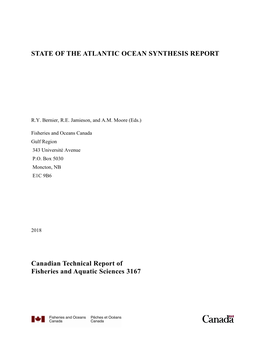 State of the Atlantic Ocean Synthesis Report