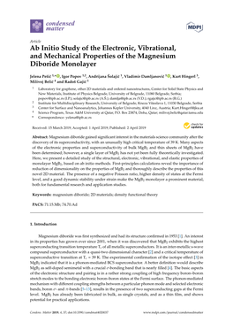 Ab Initio Study of the Electronic, Vibrational, and Mechanical Properties of the Magnesium Diboride Monolayer