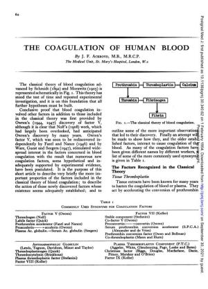 THE COAGULATION of HUMAN BLOOD by J