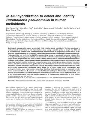 In Situ Hybridization to Detect and Identify Burkholderia Pseudomallei