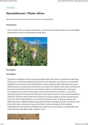 Hyacinthaceae | Plantz Africa About:Reader?Url=
