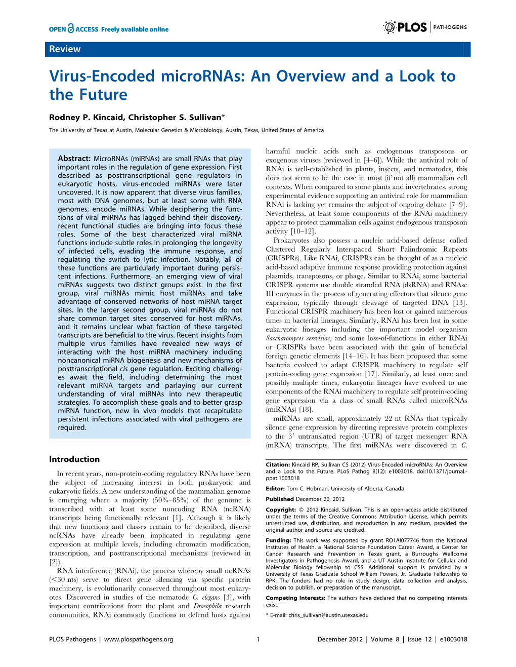 Virus-Encoded Micrornas: an Overview and a Look to the Future