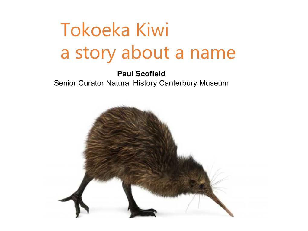 Tokoeka Kiwi a Story About a Name