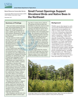 Small Forest Openings Support Shrubland Birds and Native Bees In
