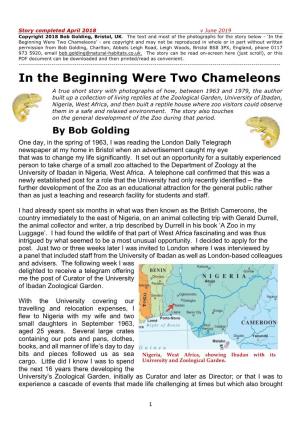 In the Beginning Were Two Chameleons