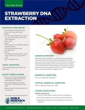Strawberry Dna Extraction