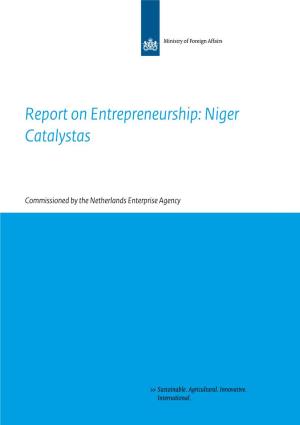 Report on Entrepreneurship: Niger Catalystas