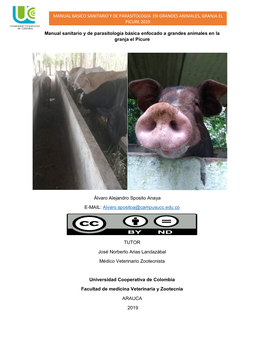 Manual BASICO Sanitario Y De Parasitologia En Grandes Animales, Granja El Picure 2019
