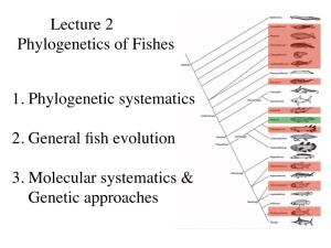 Lecture 2 Phylogenetics of Fishes 1. Phylogenetic Systematics 2