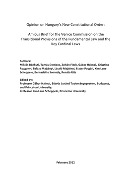 Opinion on Hungary's New Constitutional Order: Amicus Brief