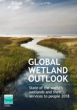 Global Wetland Outlook | 2018 1 PREFACE