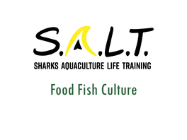 Food Fish Culture Florida Aquaculture Food Fish